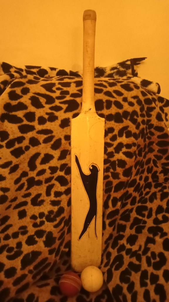 Cricket bat good condition £5