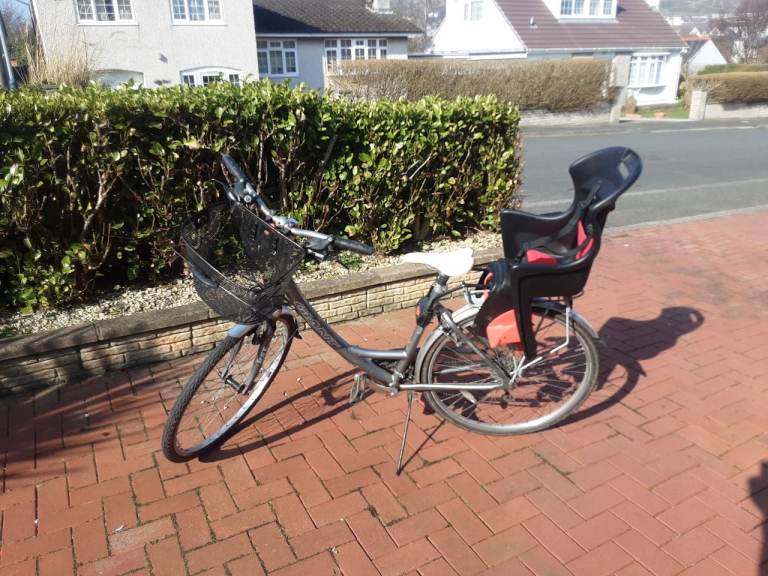 Giant Bike 