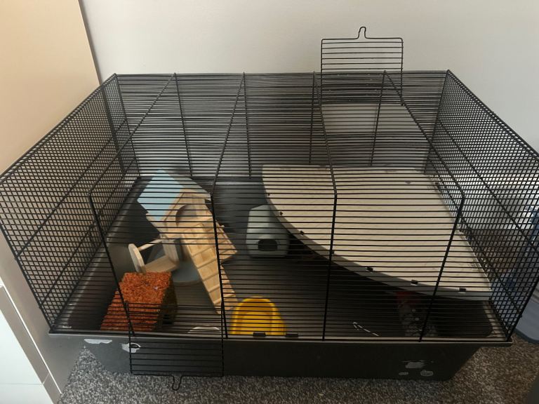 Hamster cage with accessories