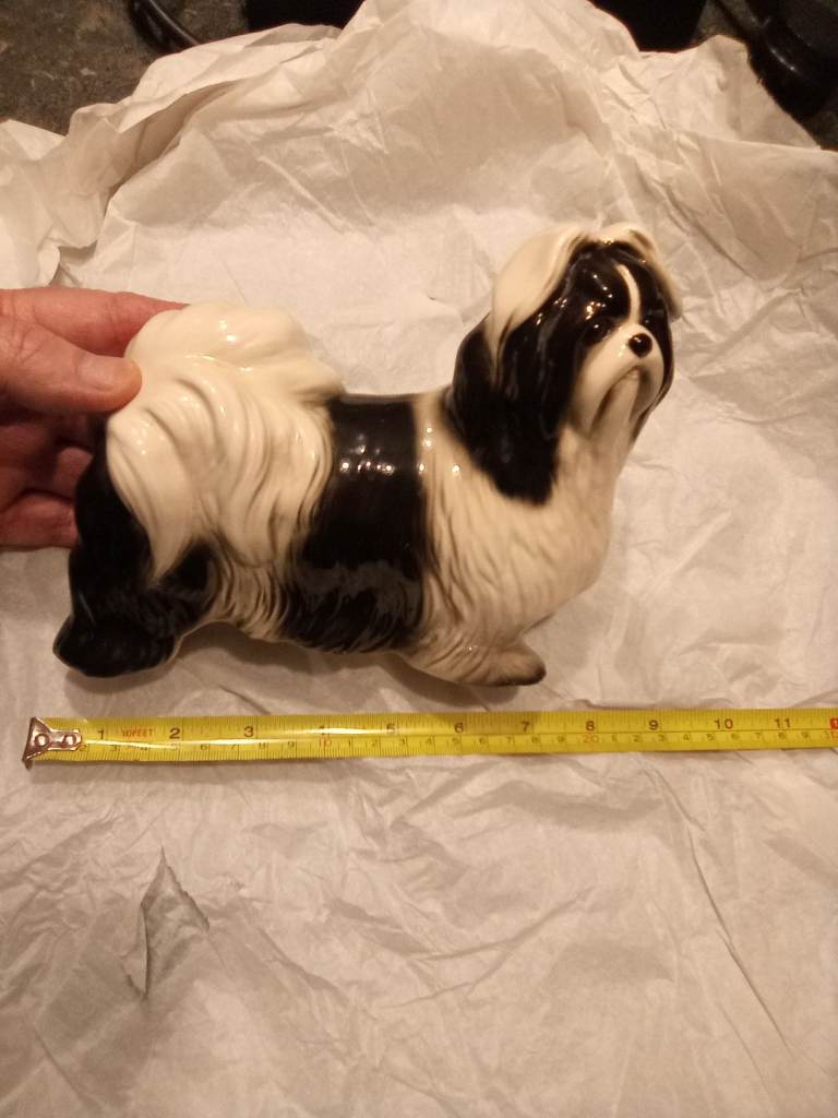 China shih tzu