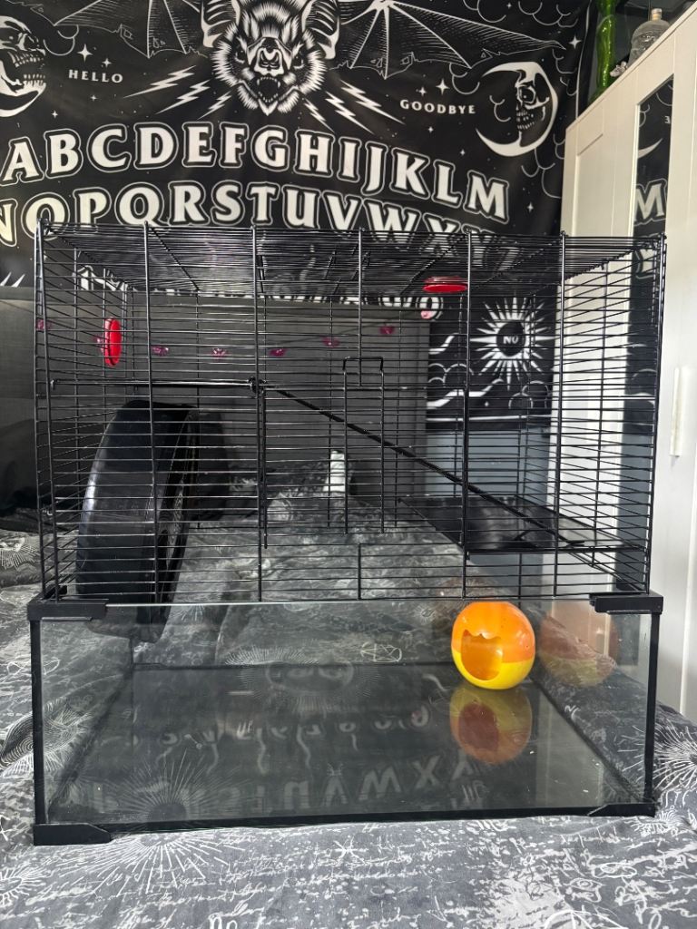 Pawhut Glass Hamster Cage 