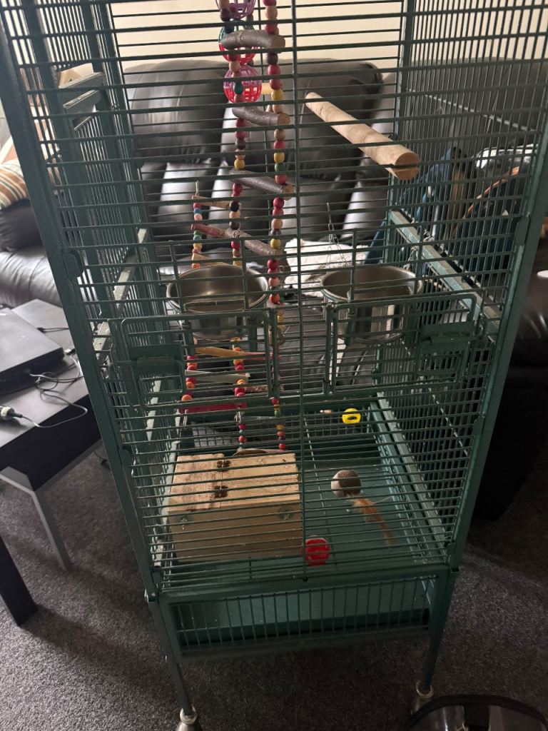 Birdcage with accessories