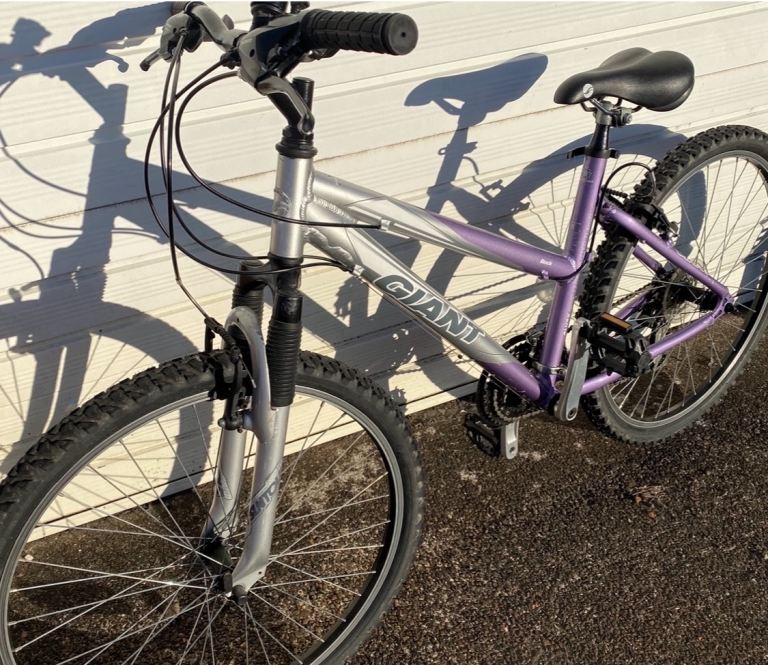 Ladies giant rock 17”