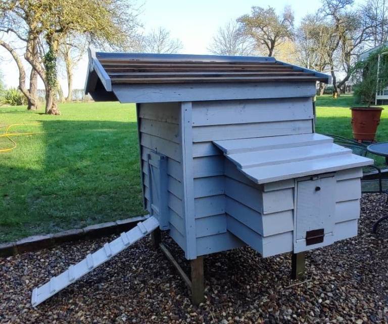 Chicken Coop