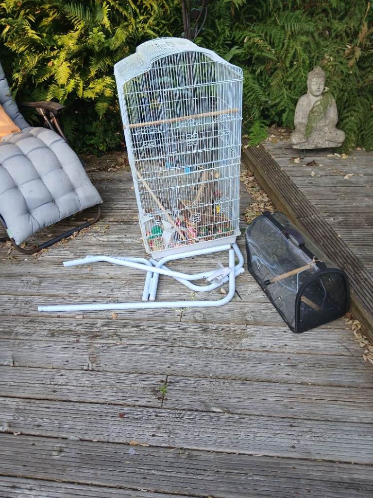 Bird cage