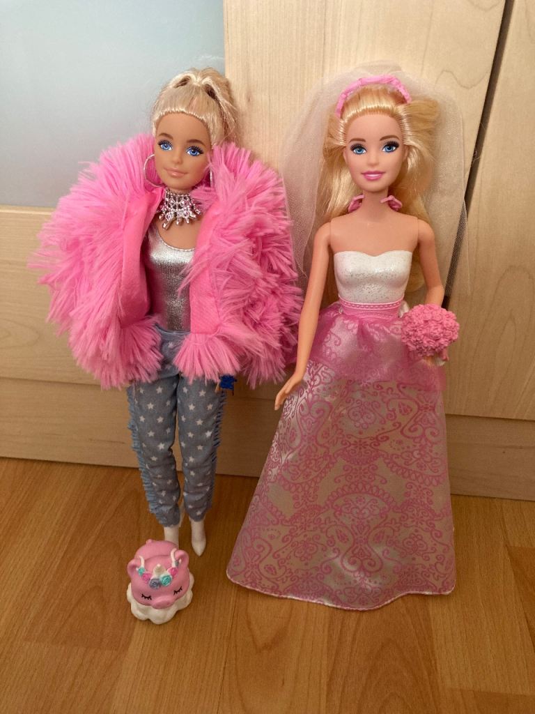 Barbie Dolls with Clothes and Accessories