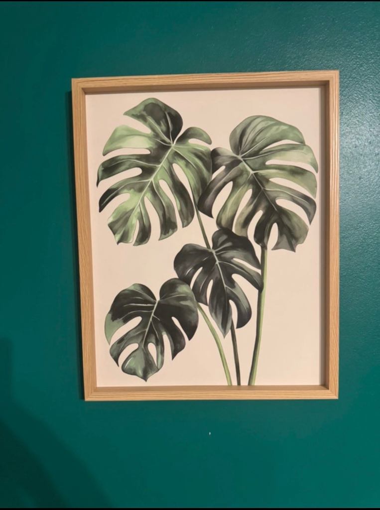 Green photo framed prints