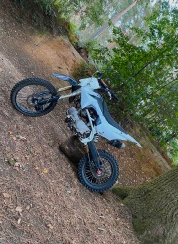 Pit bike 160