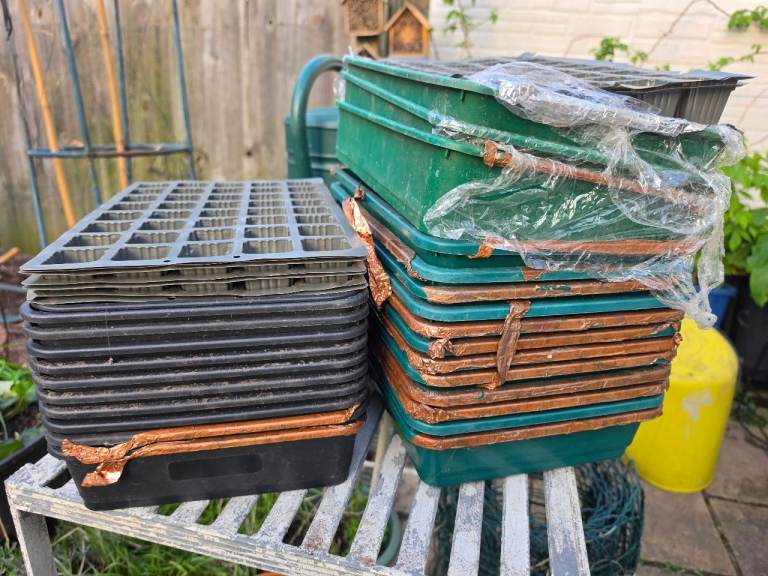 Job lot 26 seed trays