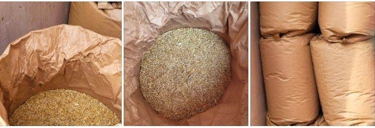 BARLEY FOR SALE 25KG BAGS
