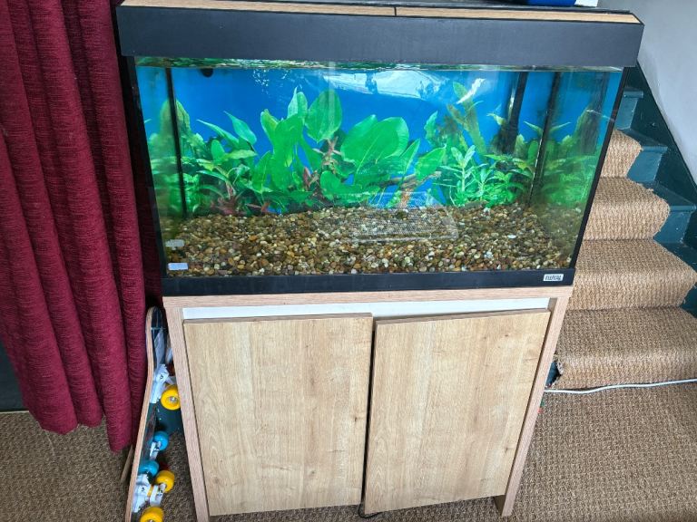 Fluval fish tank and stand including filter 
