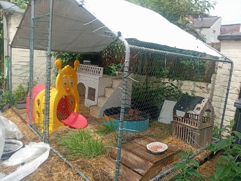 Chicken run 3x2x2