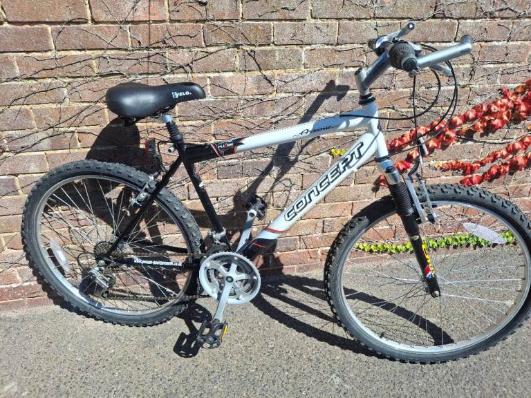 Boy's bike Teenager size