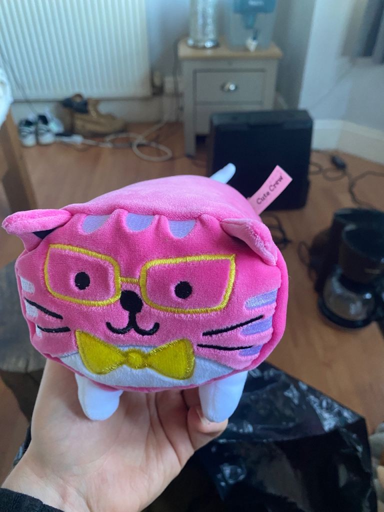 Cute Crew Pink Cat Plush Soft Toy