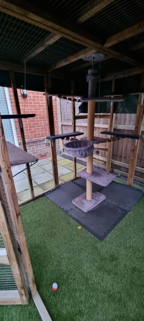 Cat Aviary  Free-standing 9ft long x 6ft wide x 6ft high, with a black waterproof roof