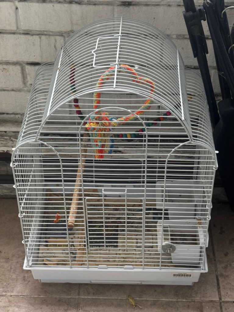 Budgie cage