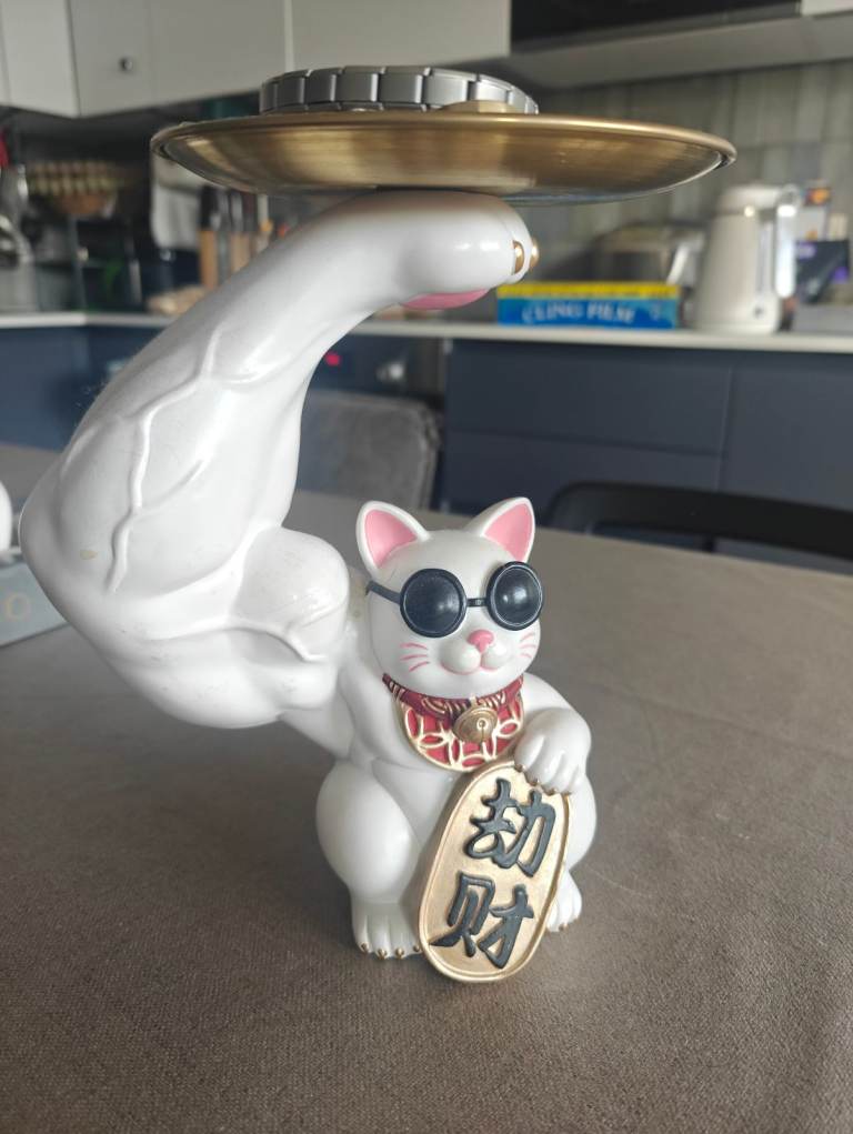 Strong cat catch all (from Japan)