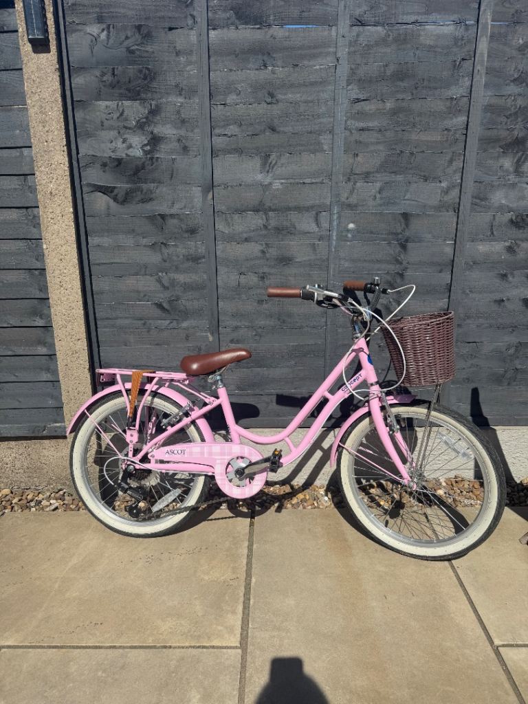 Girls 20 inch Ascot bike with basket