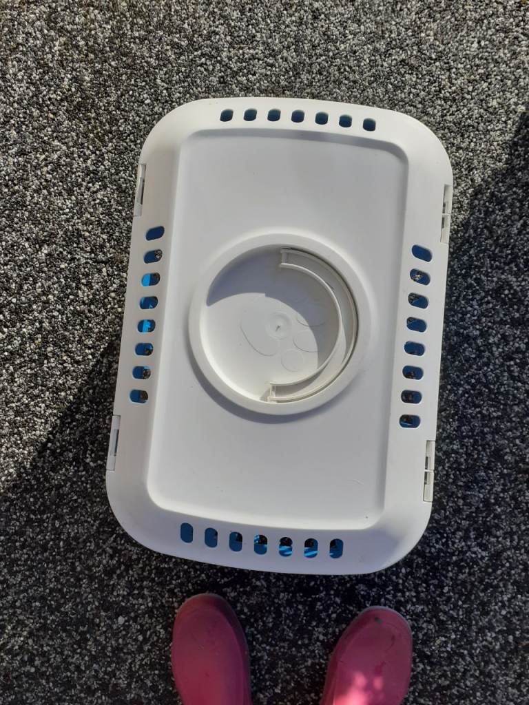 Guinea pig pet carrier 