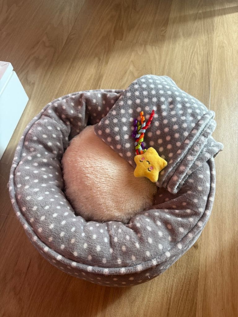 Grey cat bed with blanket and toy 