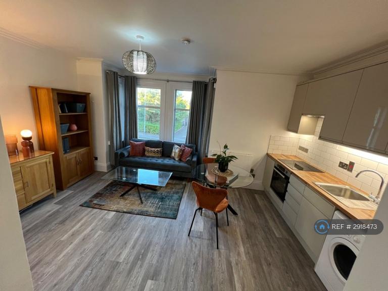 1 bedroom flat in Basingstoke Road, Reading, RG2 (1 bed) (#2918473)