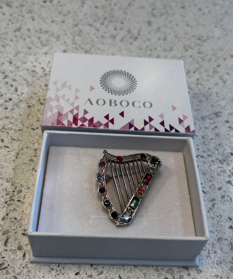 Irish Harp 🪉 brooch 