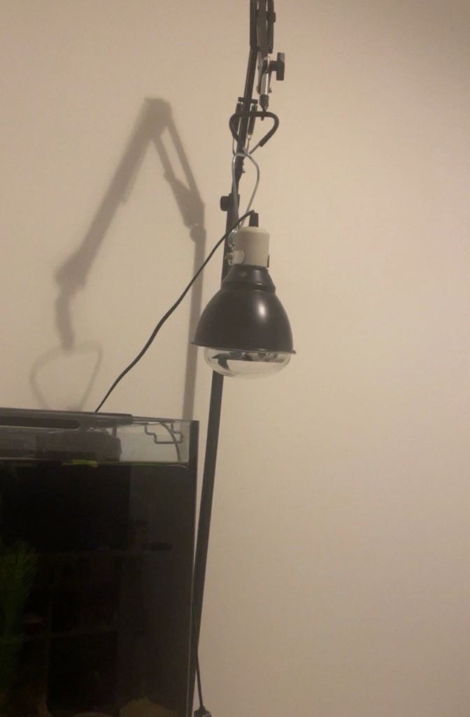 Reptile heat lamp and stand 125W