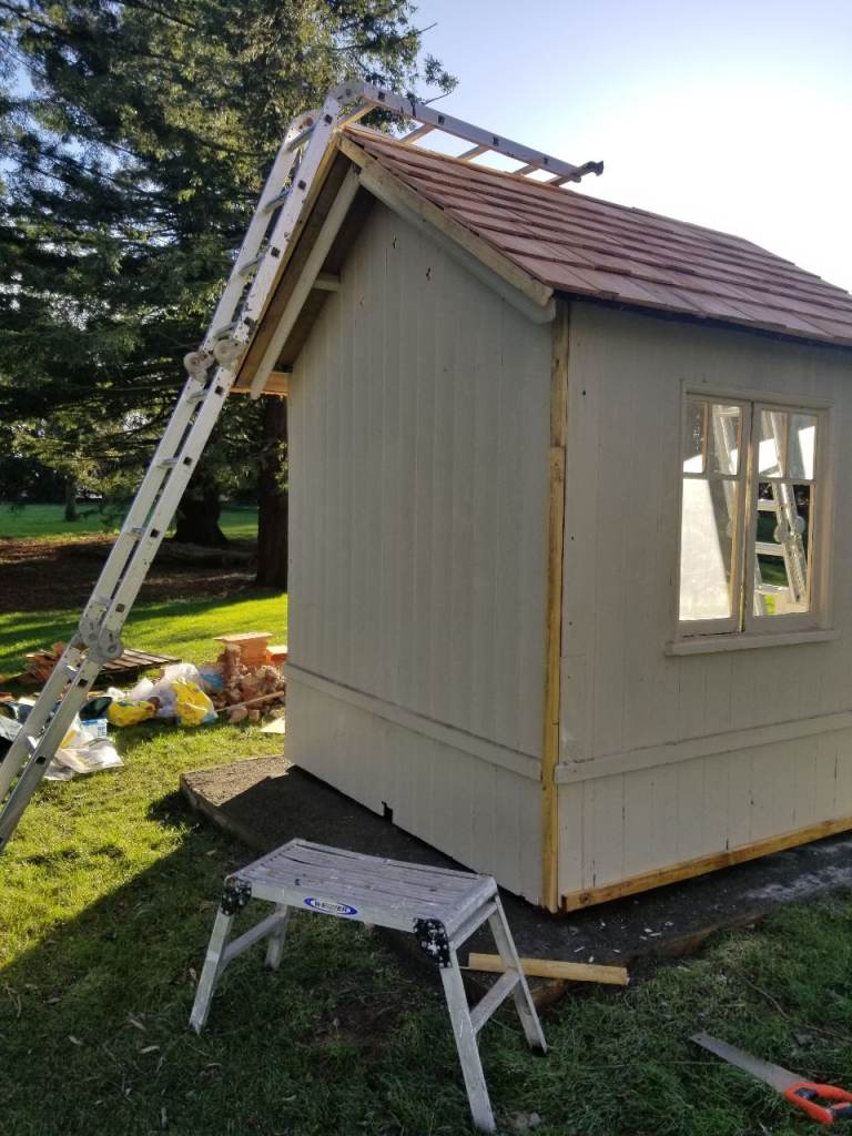 plastering painting and decorating services 