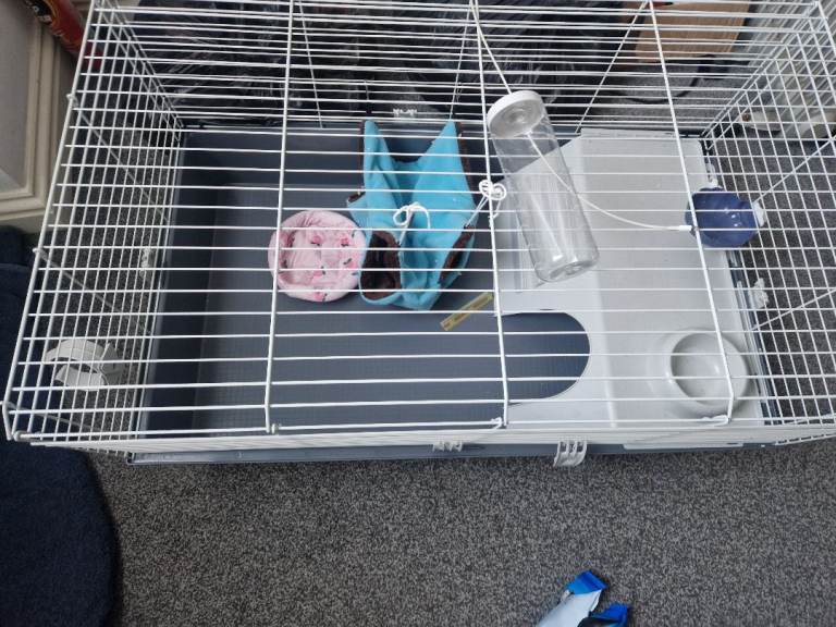 Guinea pig cage