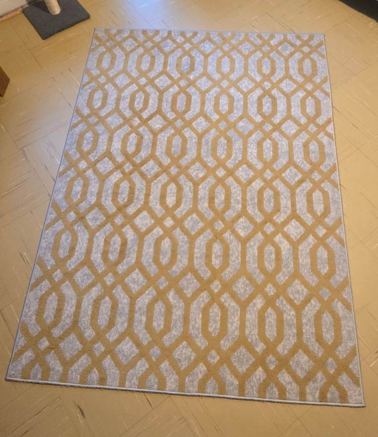 Lounge Rug 3 months old