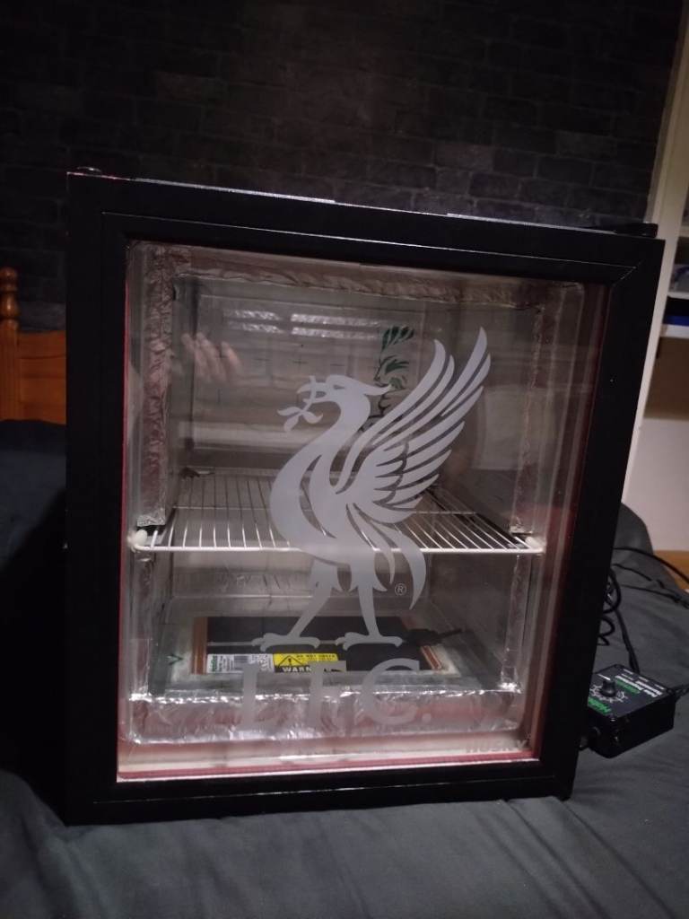 Homemade mini fridge incubator 
