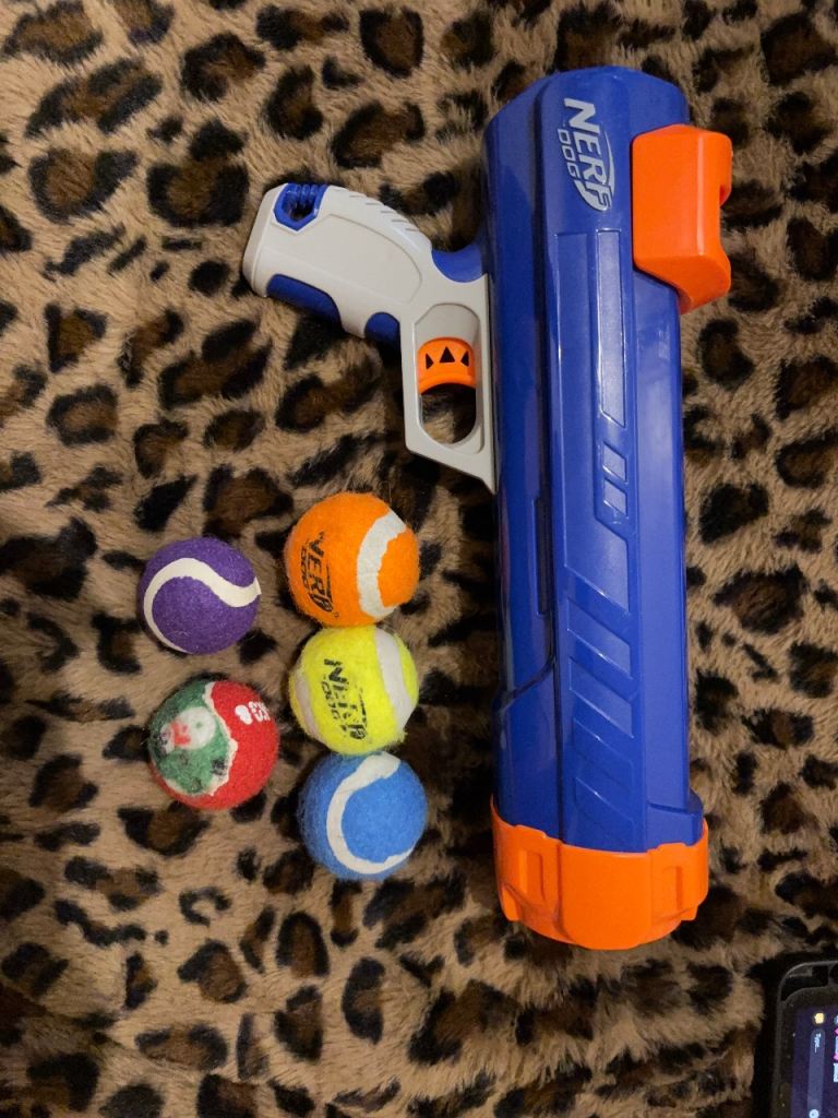 Dog nerf gun and balls 