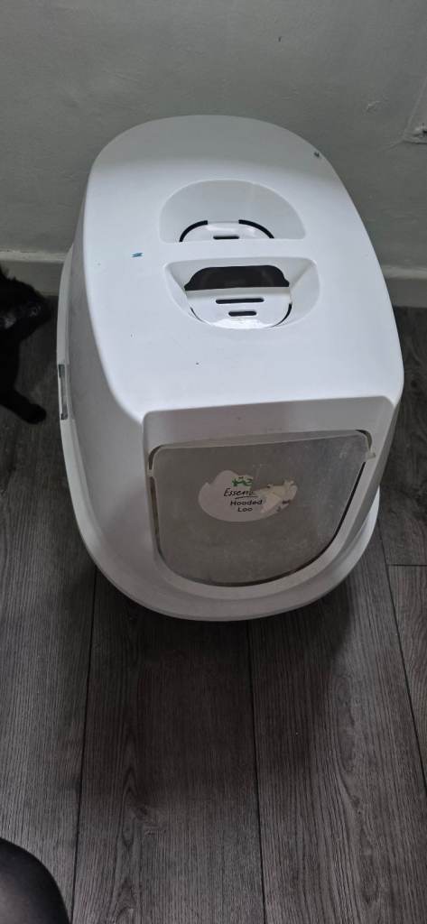 Cat stuff