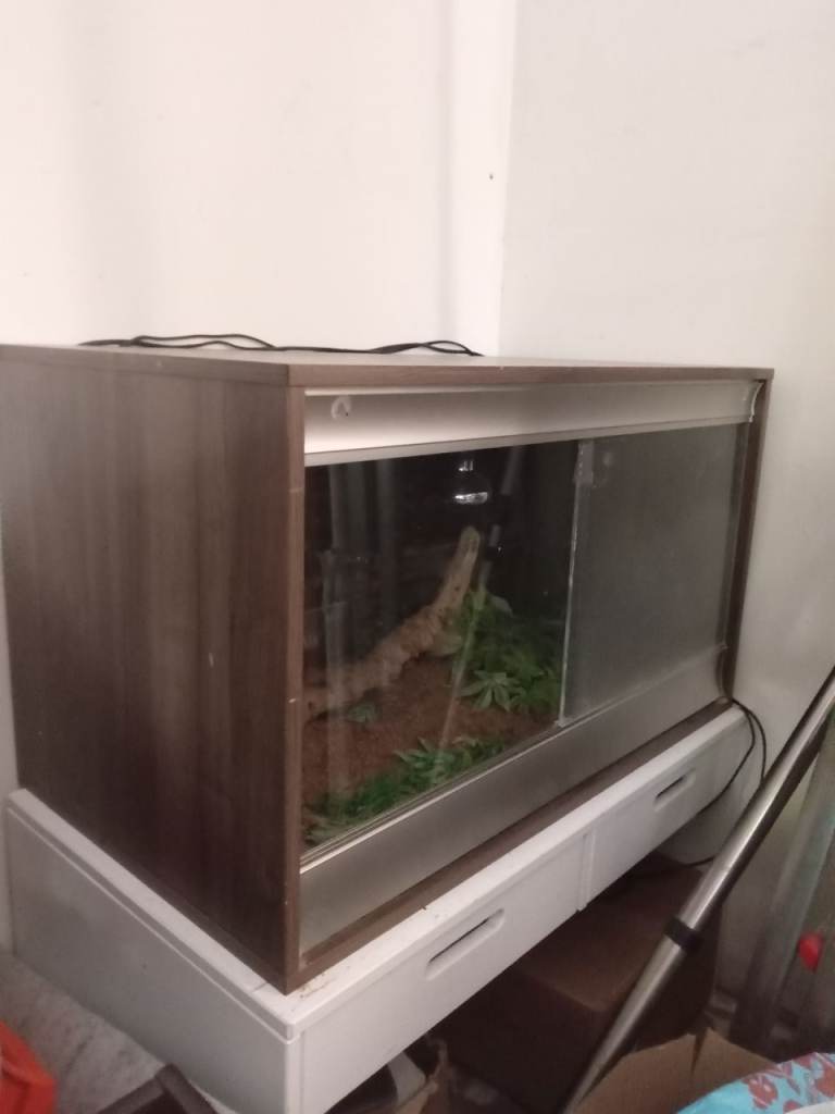 Vivarium 