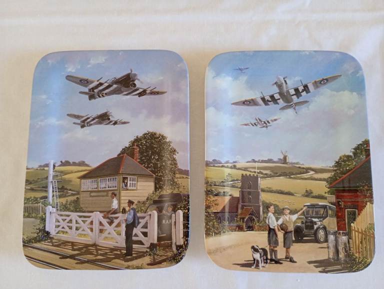 Pair of Bradford Exchange 'South in Formation' plates