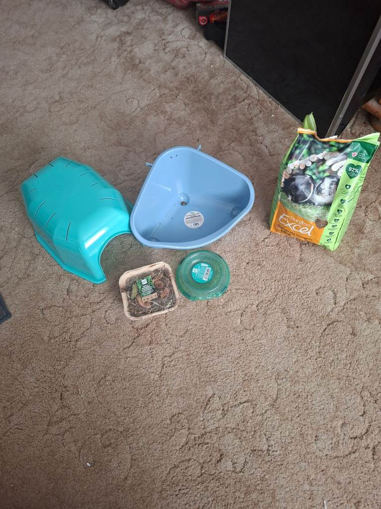Guniea pig/rabbit set up