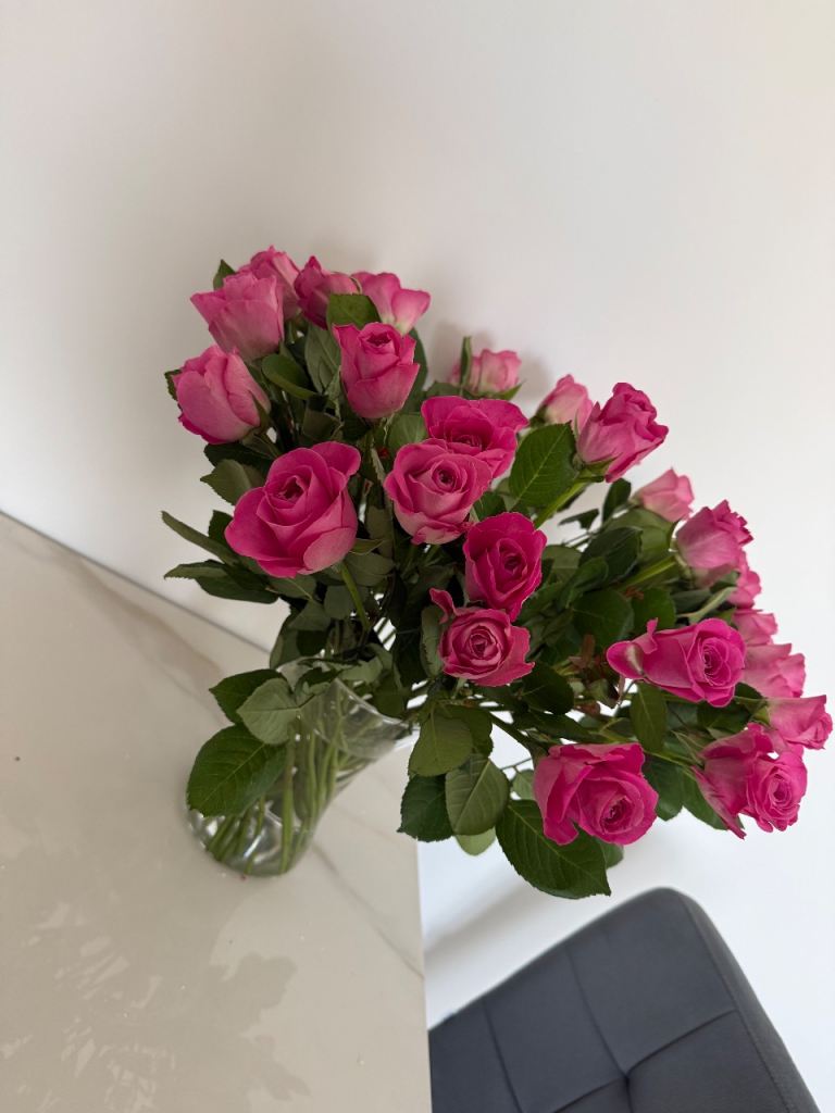 Looking for a 4 bedroom house to rent 