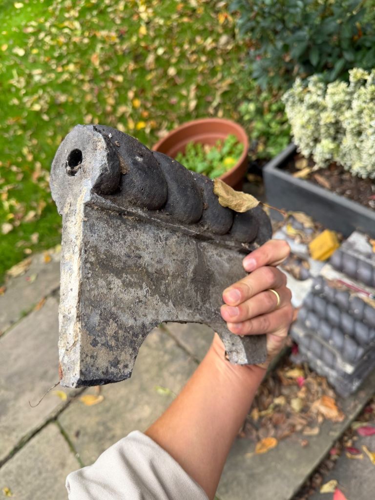 image for Reclaimed Victorian black roped path edgings 