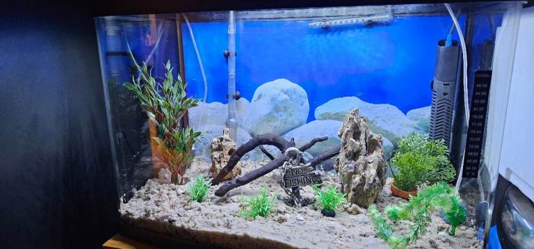 Fish Tank for Sale – Ready to Go! 64 Litres