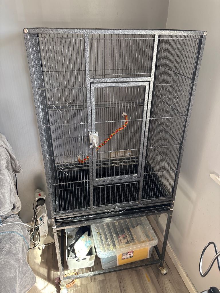 Large bird cage