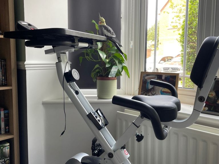 HOMCOM Foldable Exercise Bike with tray