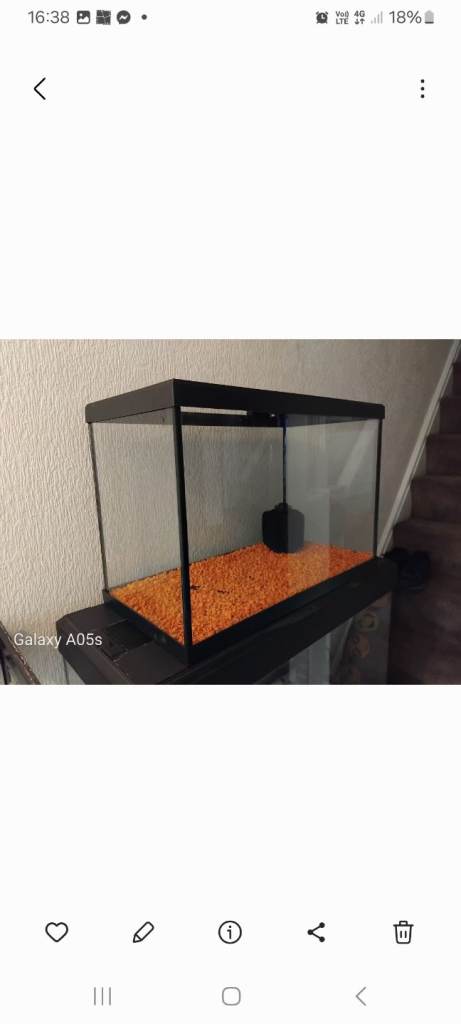 Fish tank 