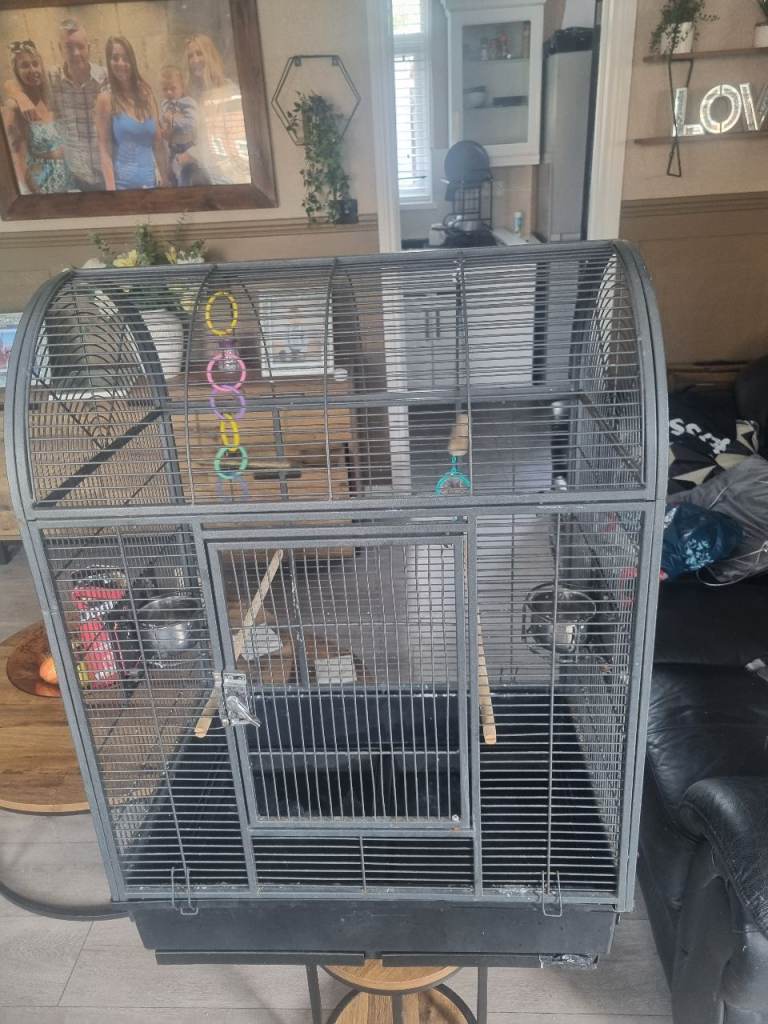 Bird cage 