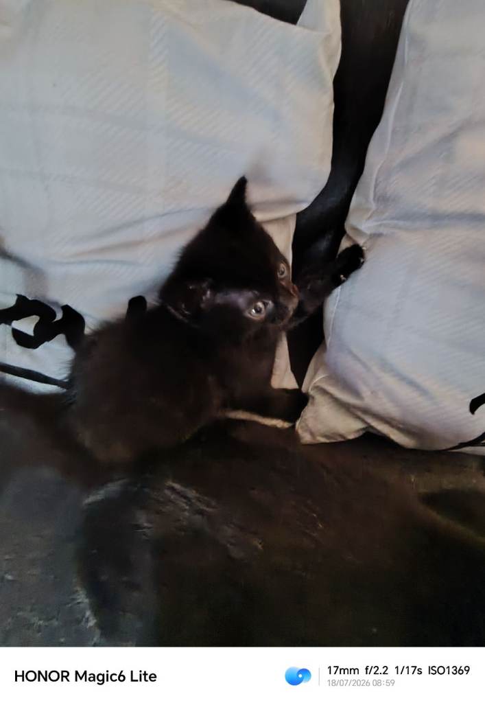 Two little ladies completely black