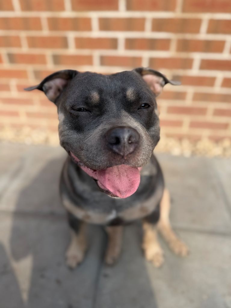 Looking For Her Forever Home