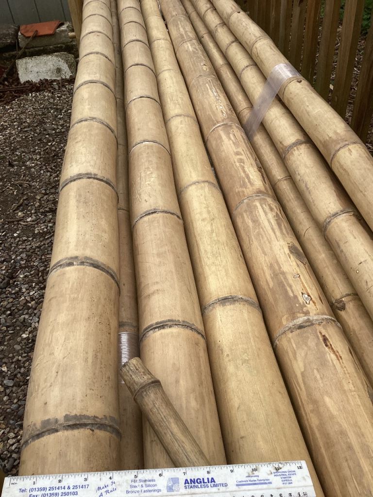Bamboo Poles for Home and Garden Projects