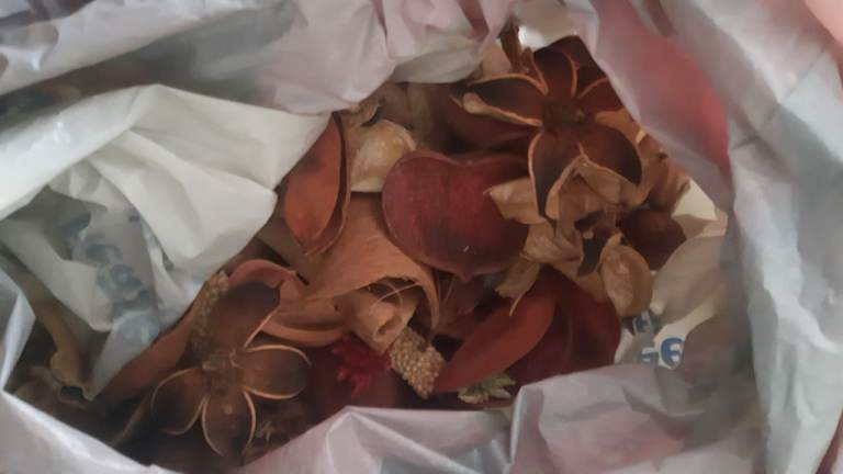 Christmas trees plus extras job lot