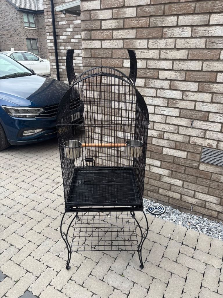 Bird cage 