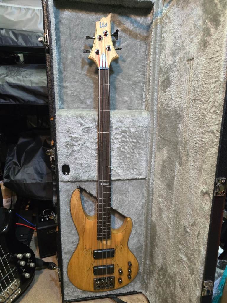 ESP LTD B-204SMFL 4 string Fretless Bass + Custom Hard Case