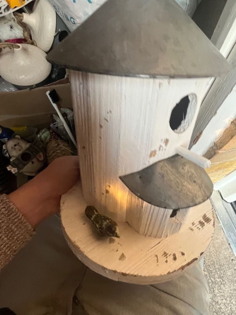 Two large birds hanging houses 20 each 